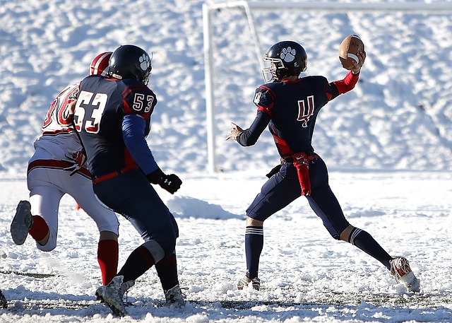 球员个体能 球员个体能