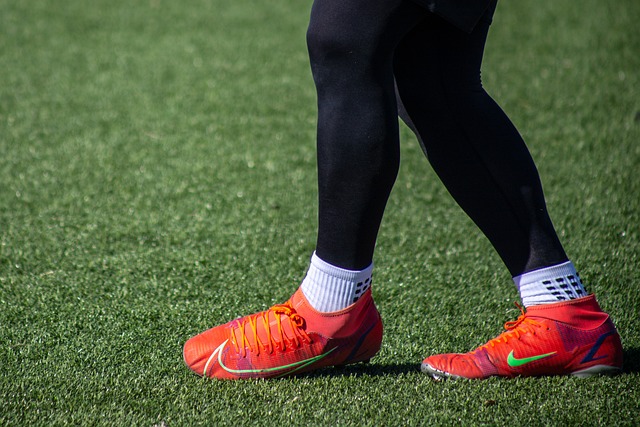 冠的行列 冠的行列