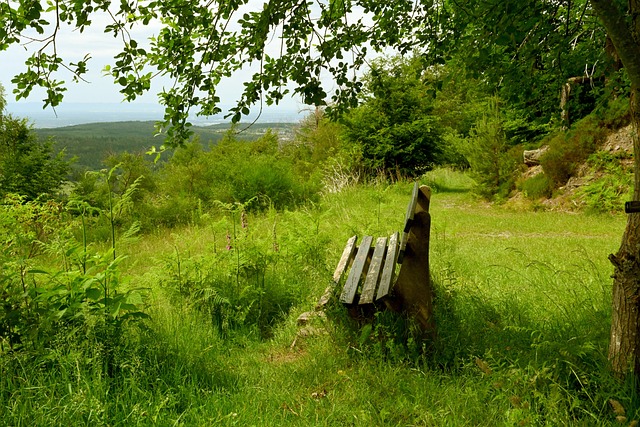 穗一人独揽 穗一人独揽