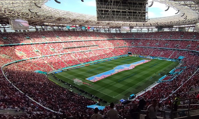 未来希望 未来希望